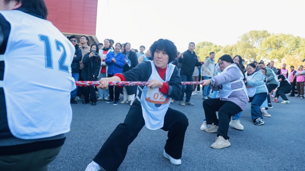 17641462298608506D21.jpg 3.2.jpg